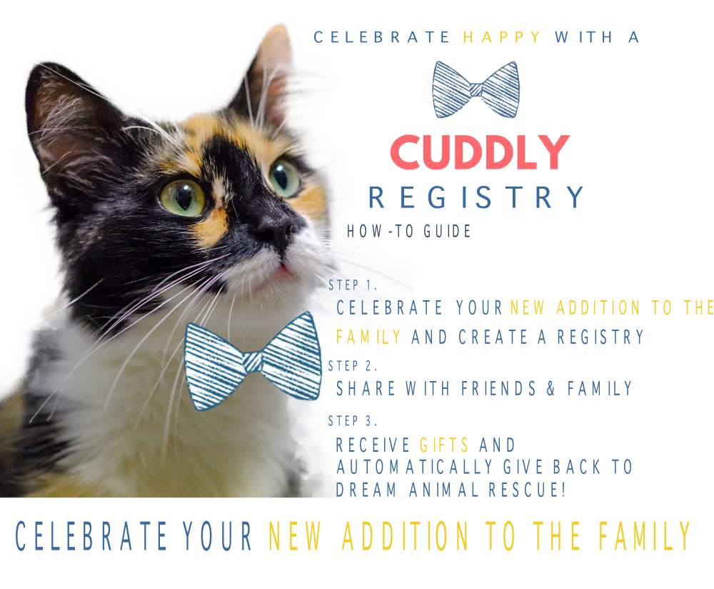 New store pet registry