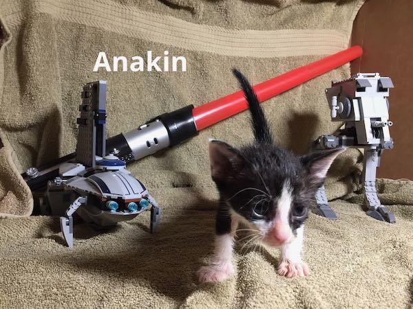 Anakin