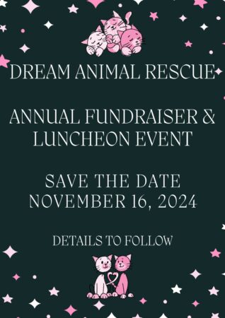 Dream Animal Rescue
Annual Fundraiser and Luncheon Event
Save the Date
November 16th 2024