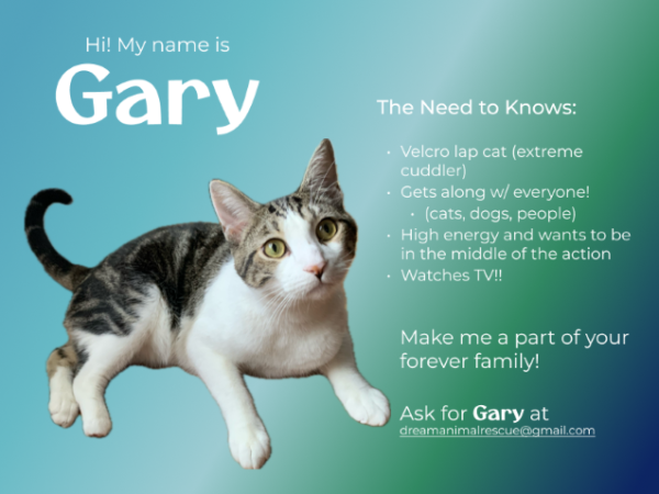 gary_1_sheet